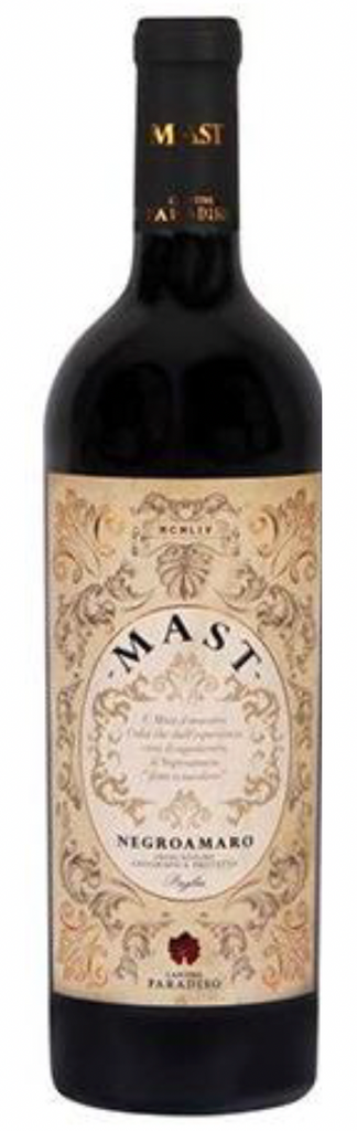 Voorkant van fles Cantine Paradiso Mast Negroamaro Puglia IGP 2019 rode wijn